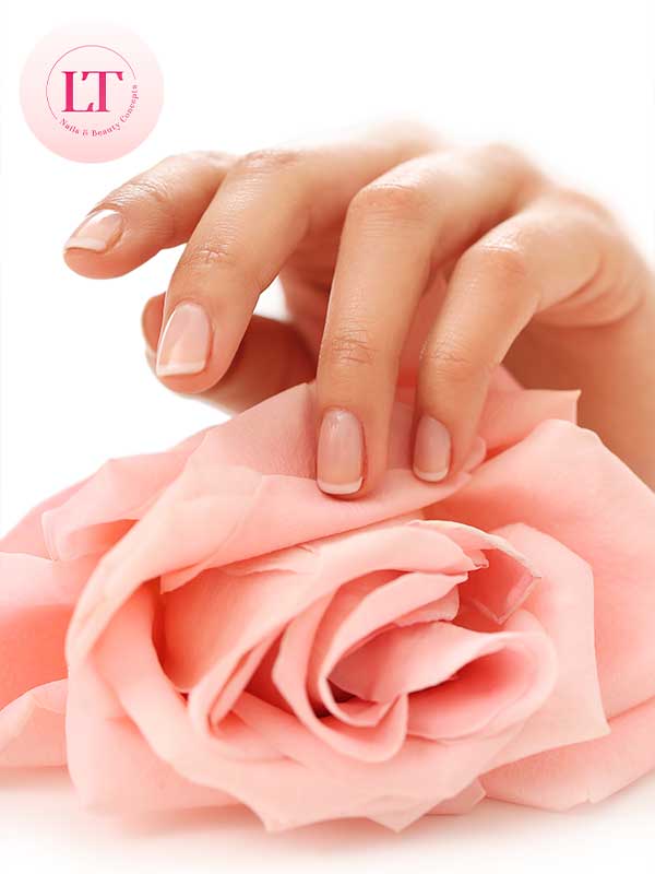 LT Nails & Beauty Concept